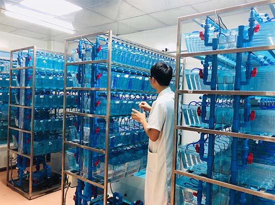 RAYBET�׾���-��ѵ��Ӿ����ٷ�ƽ̨